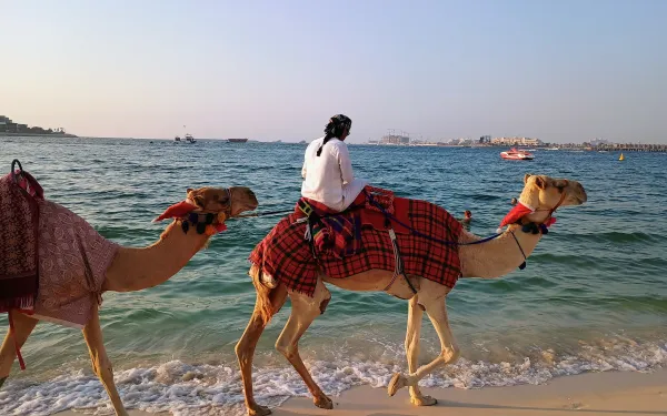 A man on a camel in Dubai